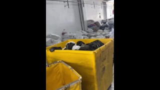 Squirt at the Laundry Where I Work